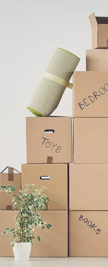 Boxes